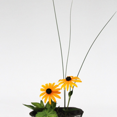 Ikebana 2