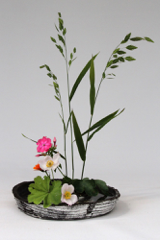 Ikebana