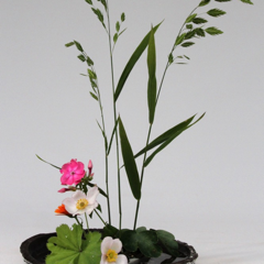 Ikebana